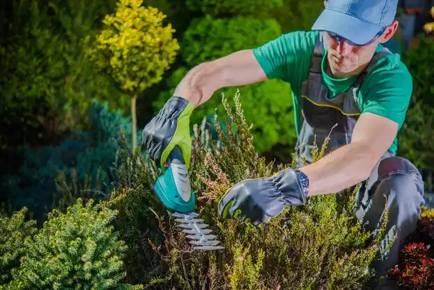 landscaping services Kittery Point